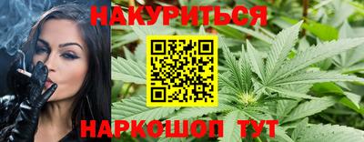 стаф Будённовск