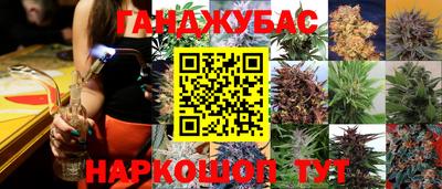 стаф Будённовск
