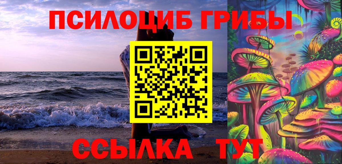 Псилоцибиновые грибы Psilocybine cubensis Новомосковск