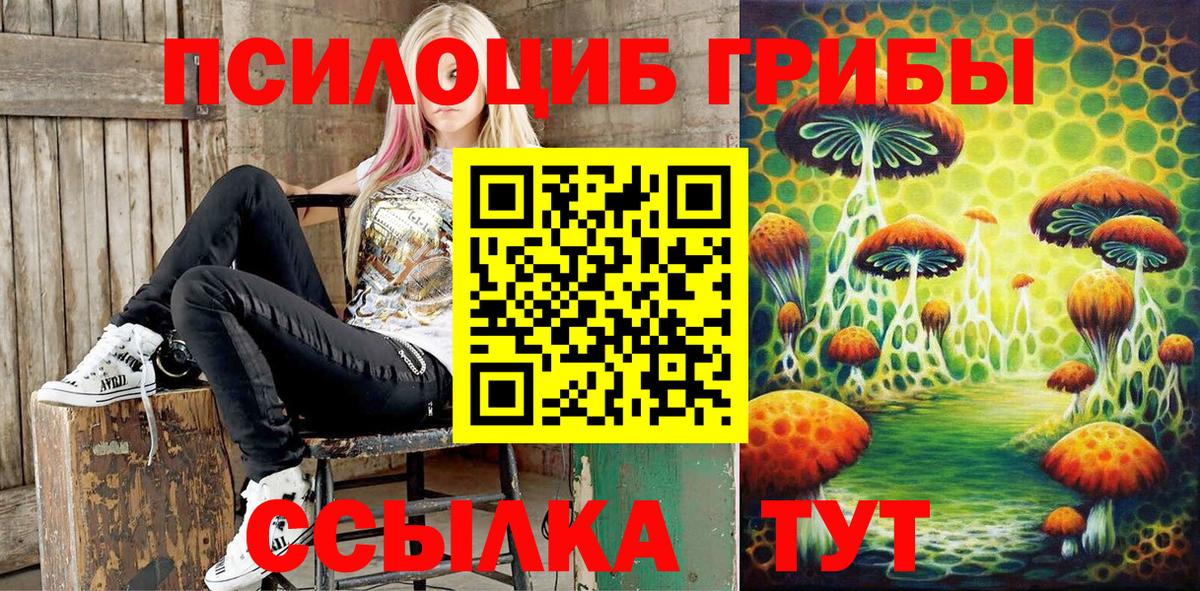 где можно купить наркотик  Вход с VPN  Новомосковск  Галлюциногенные грибы GOLDEN TEACHER 